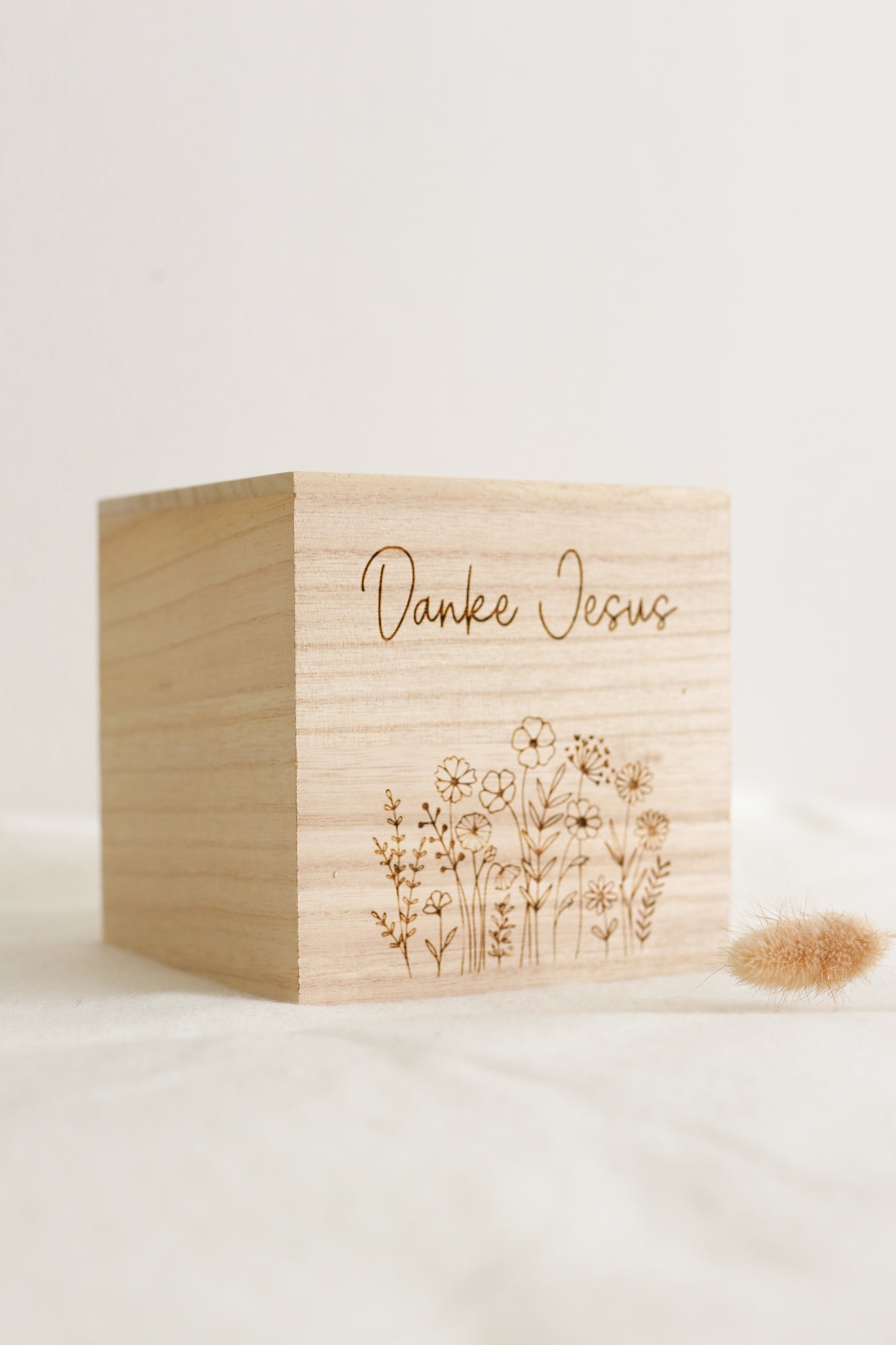Holz Spardose